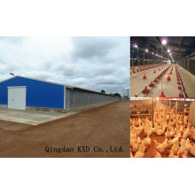 Maison de volaille préfabriquée / Maison de poulet (KXD-PCH5)